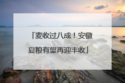 麦收过八成！安徽夏粮有望再迎丰收
