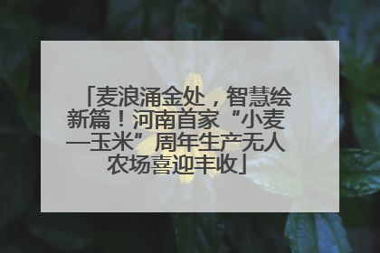 麦浪涌金处，智慧绘新篇！河南首家“小麦—玉米”周年生产无人农场喜迎丰收