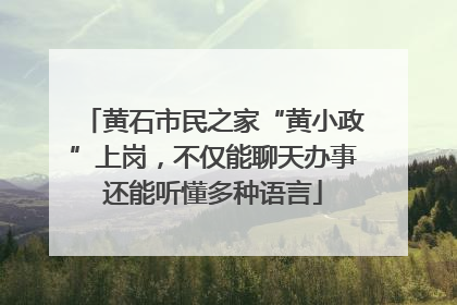 黄石市民之家“黄小政”上岗，不仅能聊天办事还能听懂多种语言