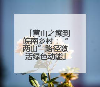 黄山之巅到皖南乡村：“两山”路径激活绿色动能