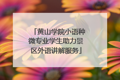 黄山学院小语种微专业学生助力景区外语讲解服务