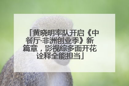 黄晓明率队开启《中餐厅·非洲创业季》新篇章，影视综多面开花诠释全能担当