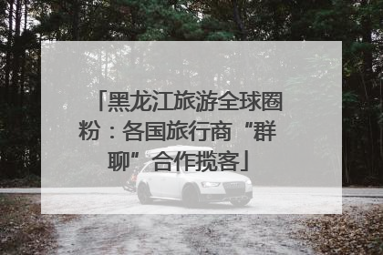 黑龙江旅游全球圈粉：各国旅行商“群聊”合作揽客