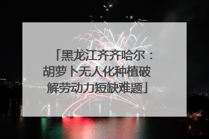 黑龙江齐齐哈尔：胡萝卜无人化种植破解劳动力短缺难题