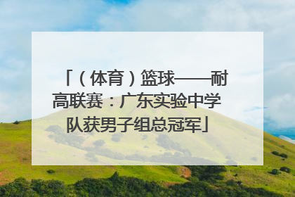 （体育）篮球——耐高联赛：广东实验中学队获男子组总冠军