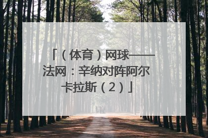 （体育）网球——法网：辛纳对阵阿尔卡拉斯（2）