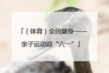 （体育）全民健身——亲子运动迎“六一”