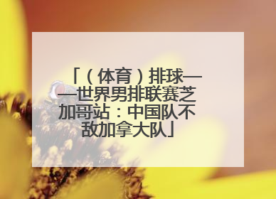 （体育）排球——世界男排联赛芝加哥站：中国队不敌加拿大队