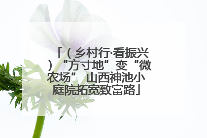 （乡村行·看振兴）“方寸地”变“微农场” 山西神池小庭院拓宽致富路