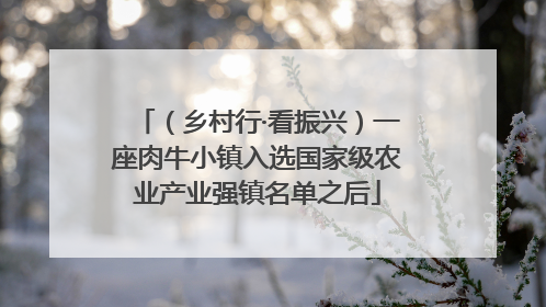 （乡村行·看振兴）一座肉牛小镇入选国家级农业产业强镇名单之后