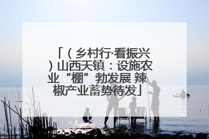 （乡村行·看振兴）山西天镇：设施农业“棚”勃发展 辣椒产业蓄势待发