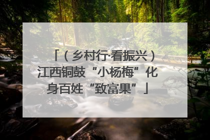 （乡村行·看振兴）江西铜鼓“小杨梅”化身百姓“致富果”