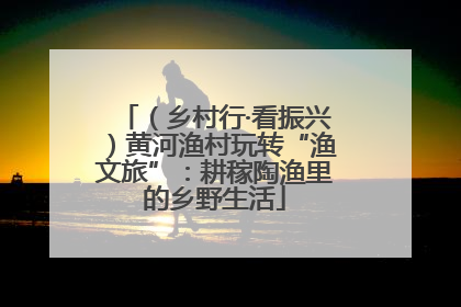（乡村行·看振兴）黄河渔村玩转“渔文旅”：耕稼陶渔里的乡野生活