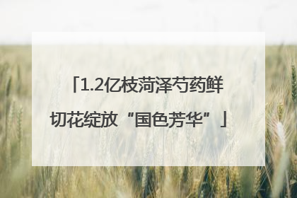 1.2亿枝菏泽芍药鲜切花绽放“国色芳华”