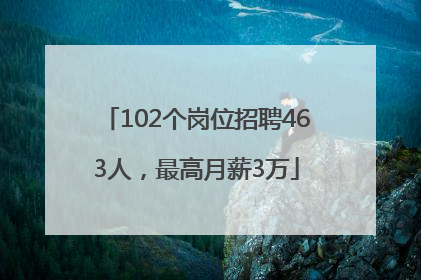 102个岗位招聘463人，最高月薪3万