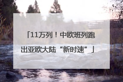 11万列！中欧班列跑出亚欧大陆“新时速”