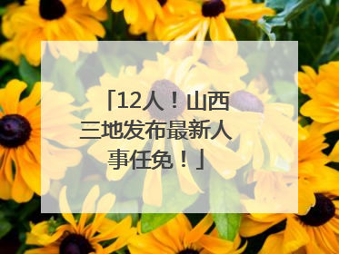 12人！山西三地发布最新人事任免！