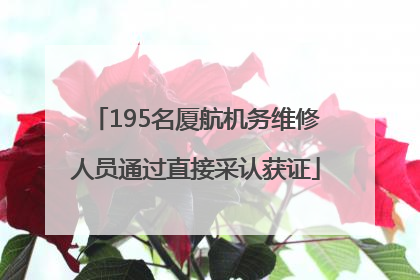 195名厦航机务维修人员通过直接采认获证