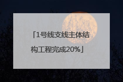 1号线支线主体结构工程完成20%