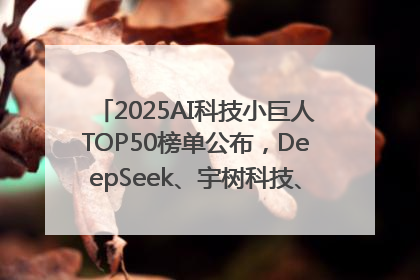 2025AI科技小巨人TOP50榜单公布，DeepSeek、宇树科技、蘑菇车联等企业荣誉上榜