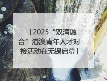 2025“双湾融合”港澳青年人才对接活动在无锡启幕