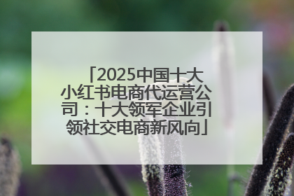 2025中国十大小红书电商代运营公司：十大领军企业引领社交电商新风向