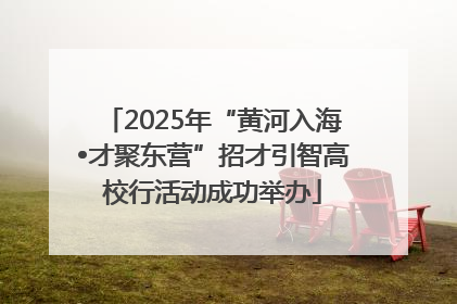 2025年“黄河入海•才聚东营”招才引智高校行活动成功举办