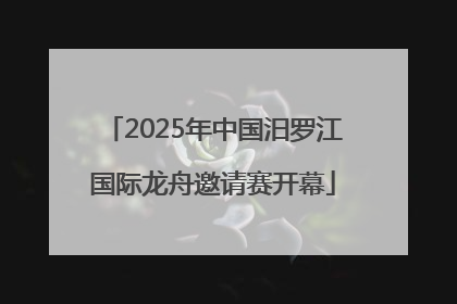 2025年中国汨罗江国际龙舟邀请赛开幕