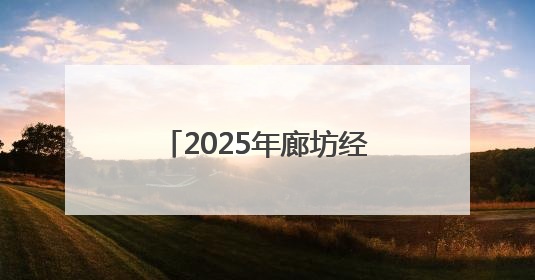 2025年廊坊经洽会：小箱包“圈粉”大咖 县域特色产业快速出海