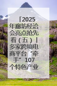 2025年廊坊经洽会亮点抢先看（五）丨多家跨境电商平台“牵手”107个特色产业集群