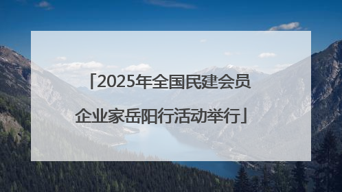 2025年全国民建会员企业家岳阳行活动举行