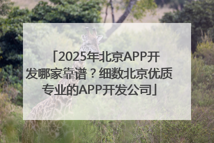 2025年北京APP开发哪家靠谱？细数北京优质专业的APP开发公司