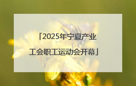2025年宁夏产业工会职工运动会开幕