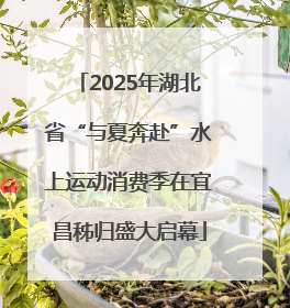 2025年湖北省“与夏奔赴”水上运动消费季在宜昌秭归盛大启幕