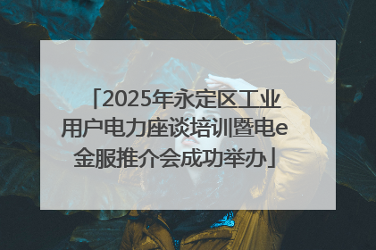 2025年永定区工业用户电力座谈培训暨电e金服推介会成功举办