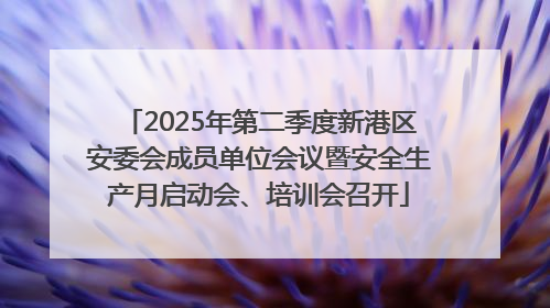 2025年第二季度新港区安委会成员单位会议暨安全生产月启动会、培训会召开