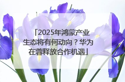 2025年鸿蒙产业生态将有何动向？华为在蓉释放合作机遇