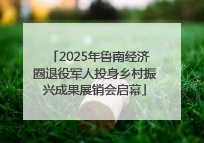 2025年鲁南经济圈退役军人投身乡村振兴成果展销会启幕