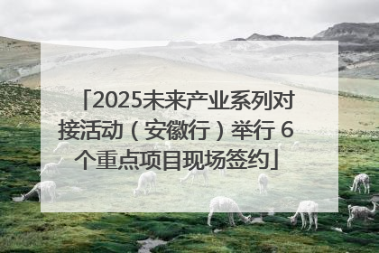 2025未来产业系列对接活动（安徽行）举行 6个重点项目现场签约