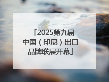 2025第九届中国（印尼）出口品牌联展开幕