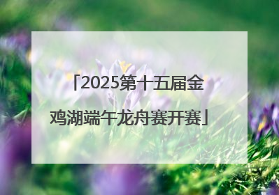 2025第十五届金鸡湖端午龙舟赛开赛
