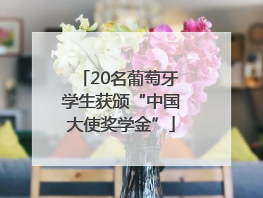20名葡萄牙学生获颁“中国大使奖学金”