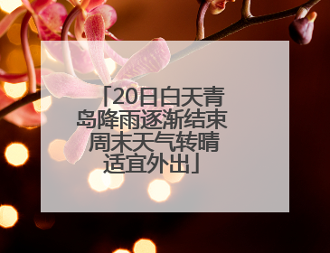 20日白天青岛降雨逐渐结束 周末天气转晴适宜外出