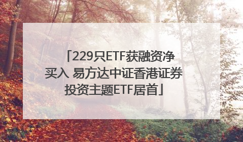 229只ETF获融资净买入 易方达中证香港证券投资主题ETF居首