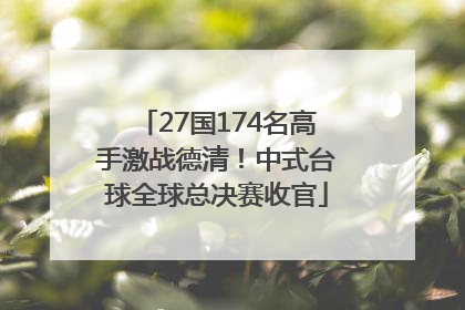 27国174名高手激战德清！中式台球全球总决赛收官