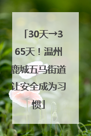 30天→365天！温州鹿城五马街道让安全成为习惯