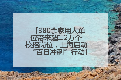 380余家用人单位带来超1.2万个校招岗位，上海启动“百日冲刺”行动