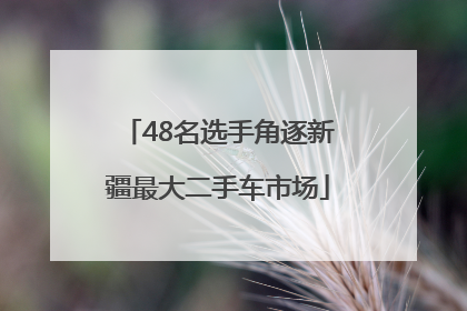 48名选手角逐新疆最大二手车市场