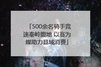 500余名骑手竞速秦岭腹地 以赛为媒助力县域消费