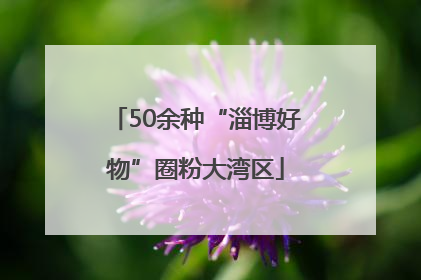 50余种“淄博好物”圈粉大湾区